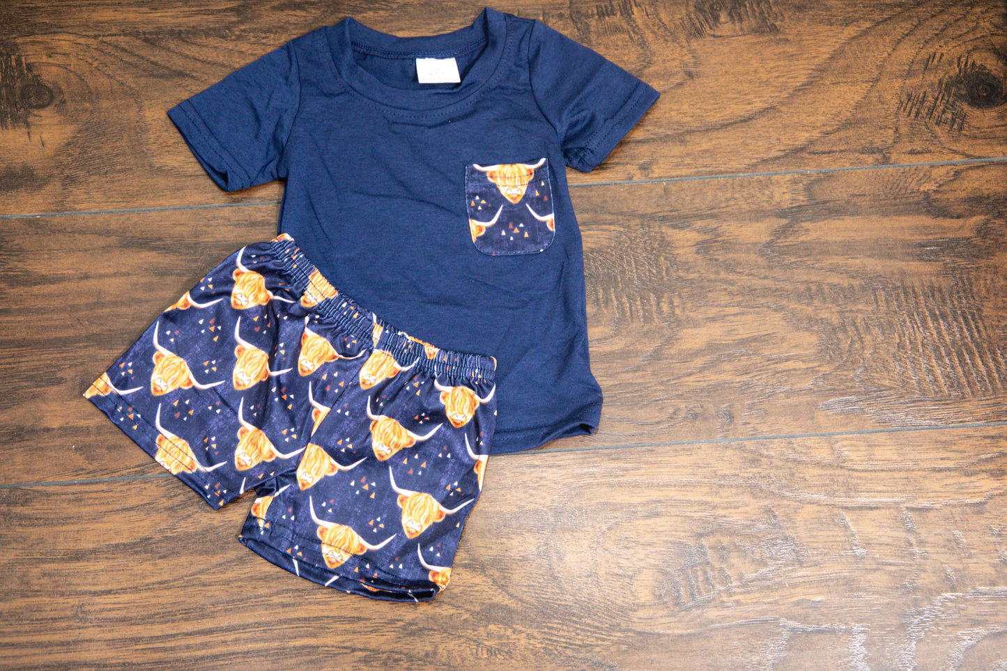 Highland Cow T-Shirt Set